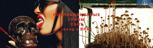 ГАЛЛЮЦИНОГЕННЫЕ ГРИБЫ Пересвет