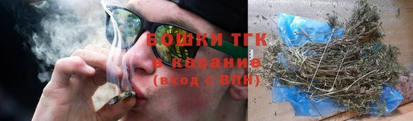 mdpv Богородицк