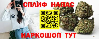 хмурый Дубна