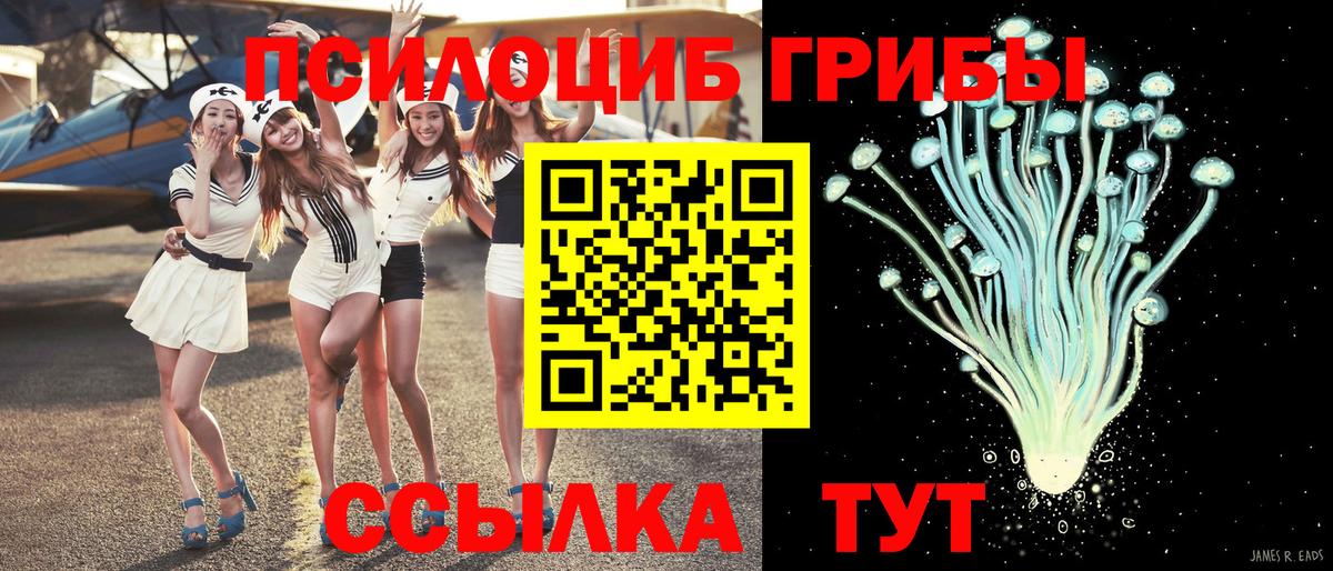 Псилоцибиновые грибы MAGIC MUSHROOMS  Кинешма 