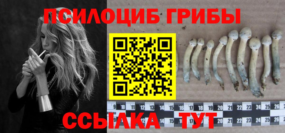 Кинешма  Галлюциногенные грибы Magic Shrooms  Галлюциногенные грибы Cubensis  Вход с VPN 